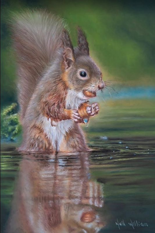 Squirrel painting